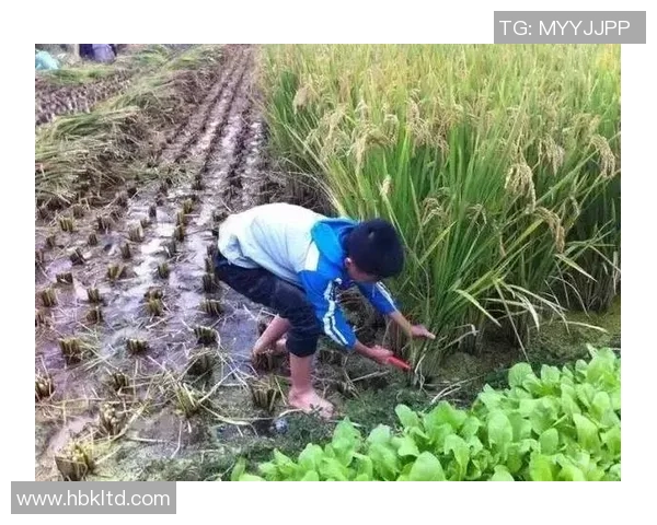 足球球星竟然亲自下田干农活 看他们如何与土地亲密接触